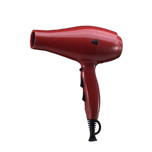 Hair dryer  SYC086