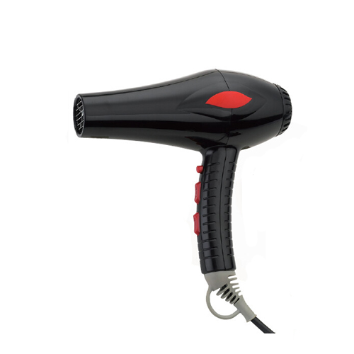 Hair dryer  SYC109
