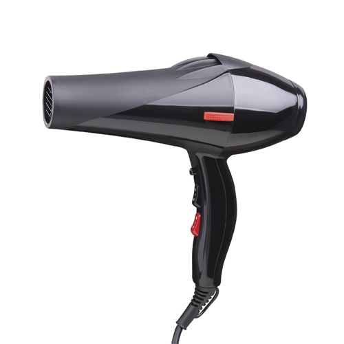 Hair dryer SYC205